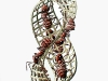 Mobius Strip 2